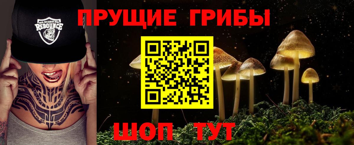 Псилоцибиновые грибы Psilocybine cubensis  Вход с VPN  Галлюциногенные грибы MAGIC MUSHROOMS  Чусовой 